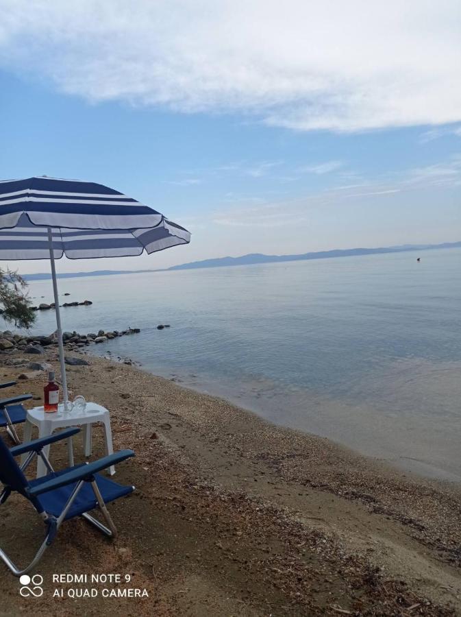 Almyriki Studio Golos Dış mekan fotoğraf